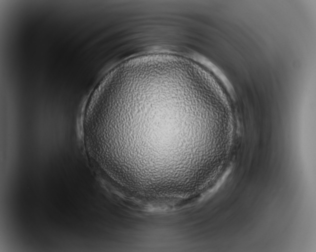 X0000087571097200705181138