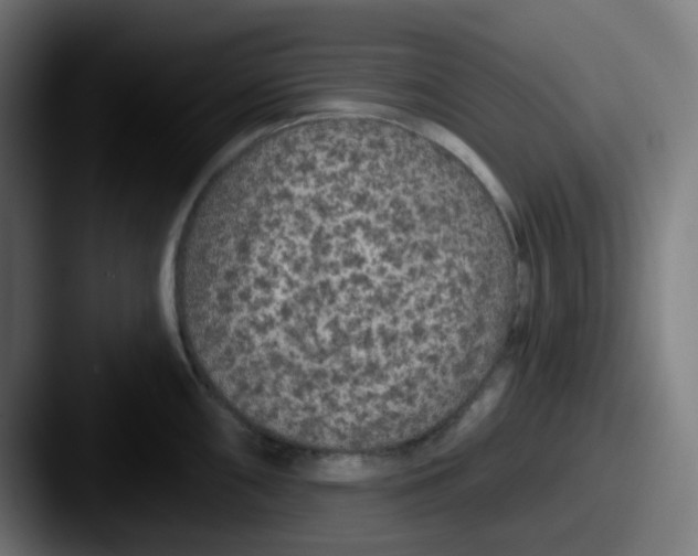 X0000087571098200705181138