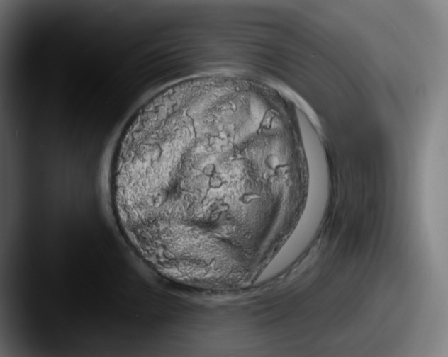 X0000087571099200705181138