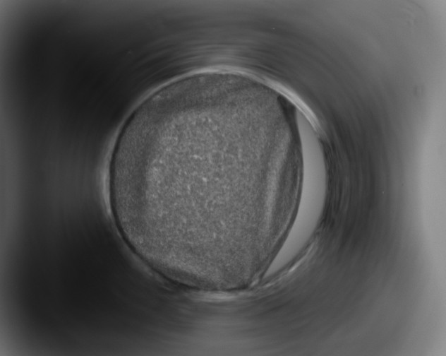 X0000087571100200705181138