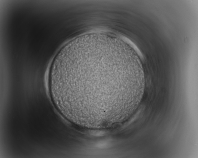 X0000087571103200705181138