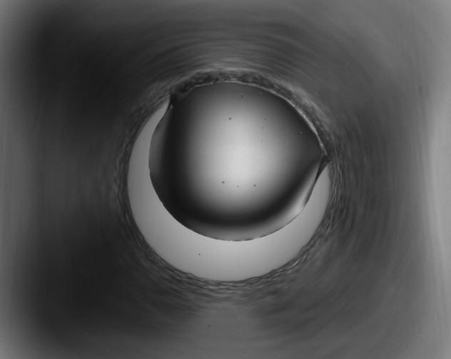 X0000087571110200705181137