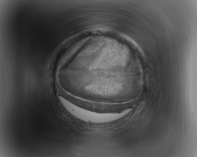 X0000087571112200705181138