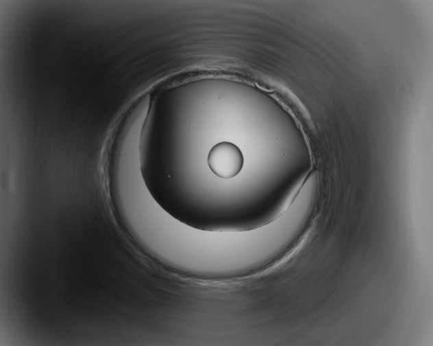 X0000087571114200705181138