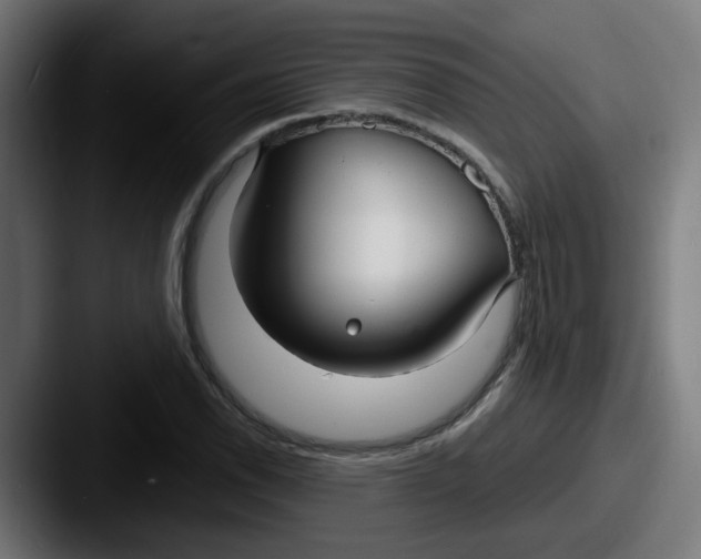 X0000087571118200705181138