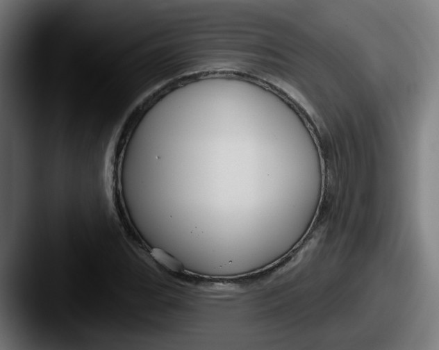 X0000087571119200705181138