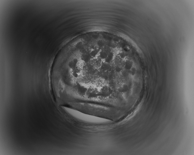 X0000087571121200705181138