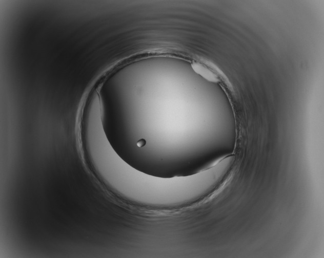 X0000087571122200705181138