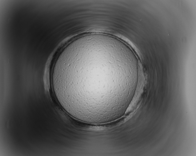 X0000087571123200705181138