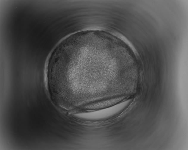 X0000087571124200705181138