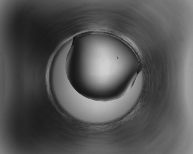 X0000087571128200705181138