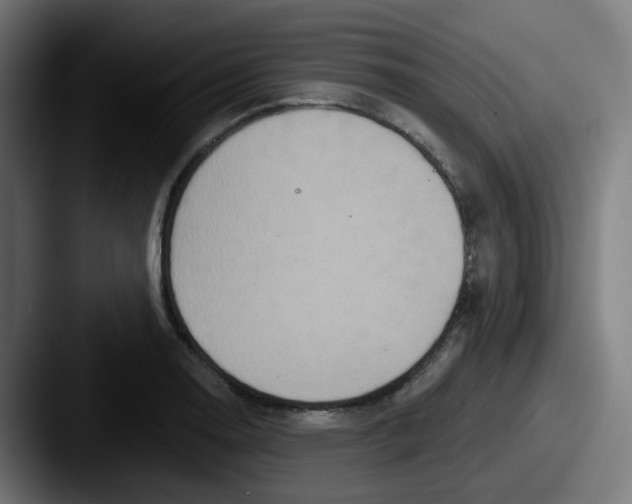 X0000087571130200705181138