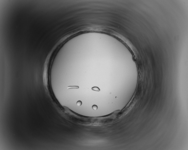 X0000087571131200705181138