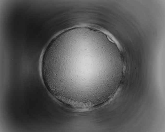 X0000087571143200705181138