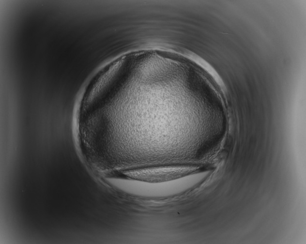 X0000087571144200705181138