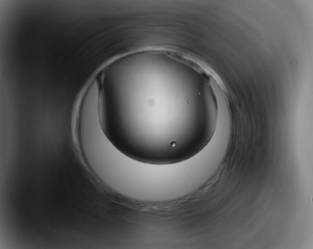 X0000087571148200705181138