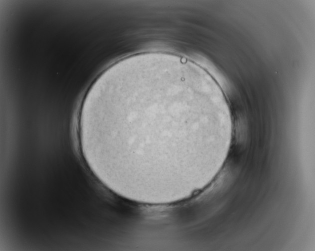 X0000087571150200705181138