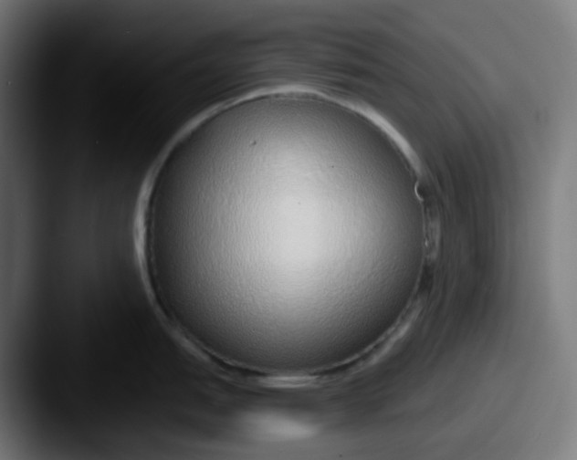 X0000087571151200705181138