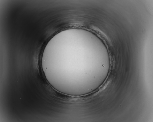 X0000087571162200705181137