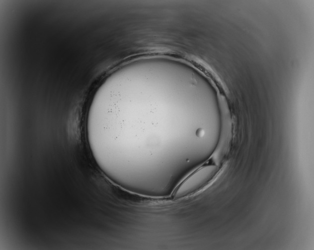 X0000087571163200705181137