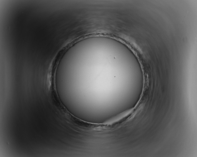 X0000087571165200705181137