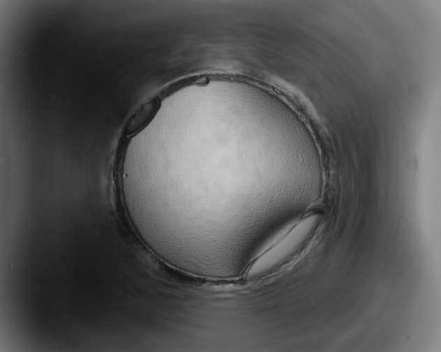 X0000087571168200705181137