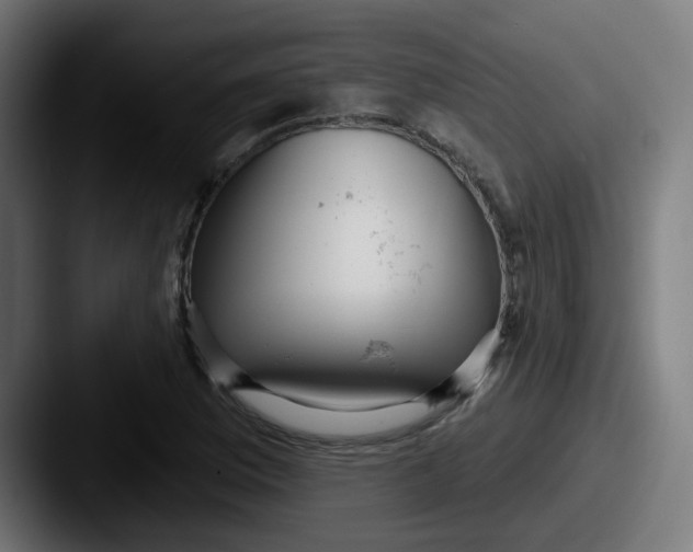 X0000087571169200705181137