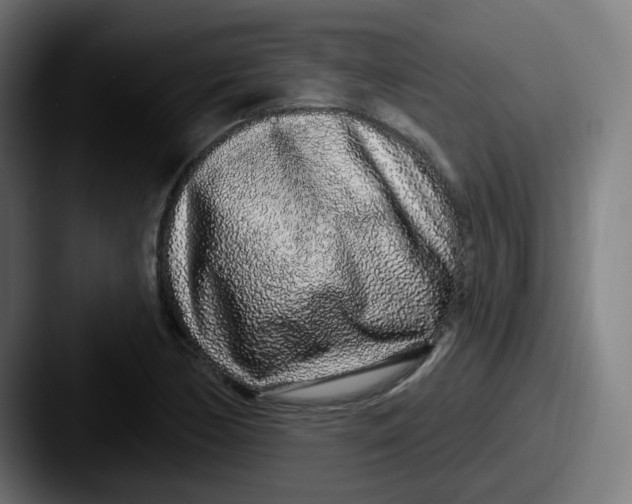 X0000087571170200705181137