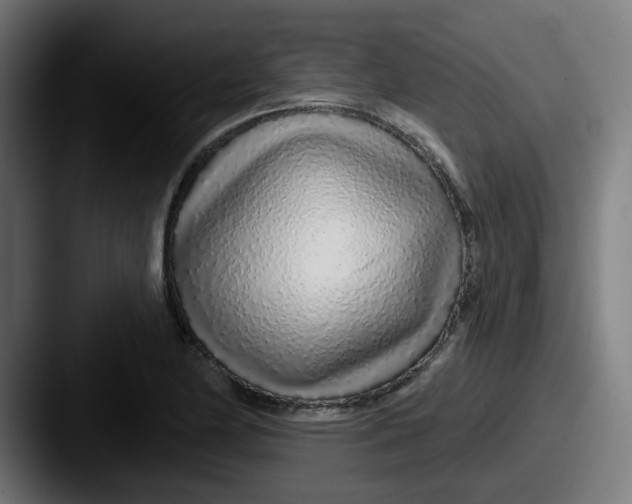 X0000087571174200705181137