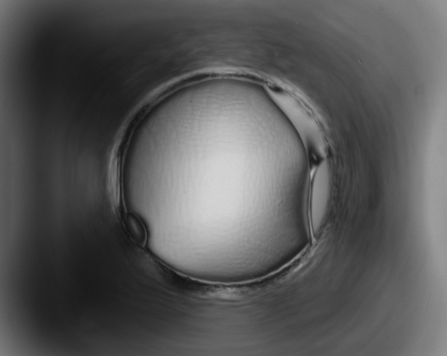 X0000087571175200705181137