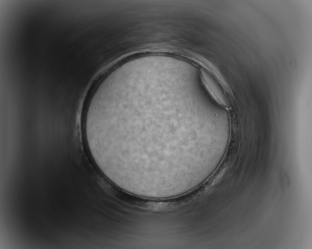 X0000087571176200705181137