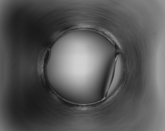 X0000087571177200705181137