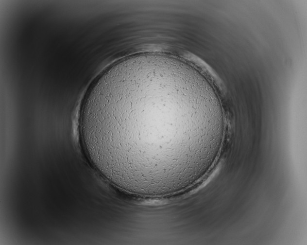 X0000087571178200705181137