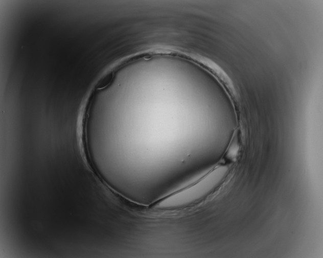 X0000087571183200705181137