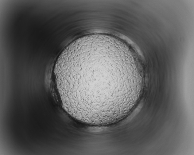 X0000087571185200705181137