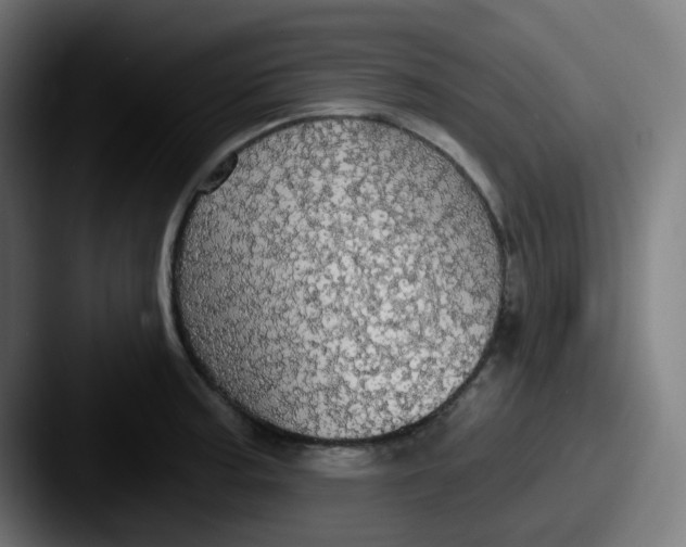 X0000087571187200705181137