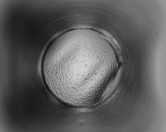 X0000087571189200705181137