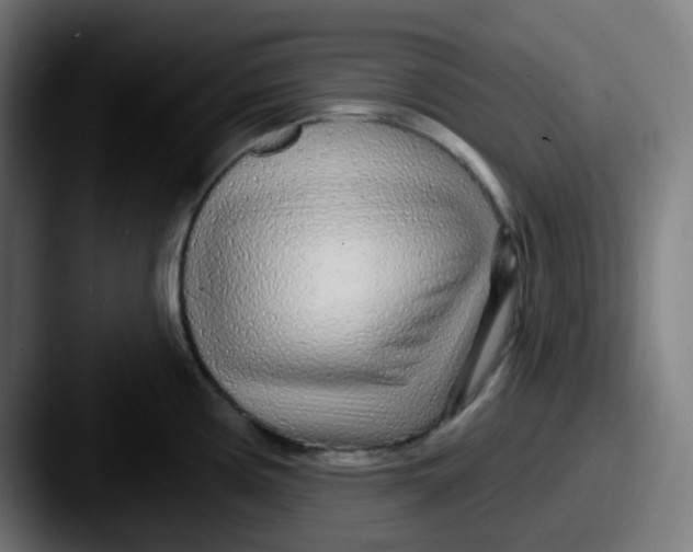 X0000087571194200705181137