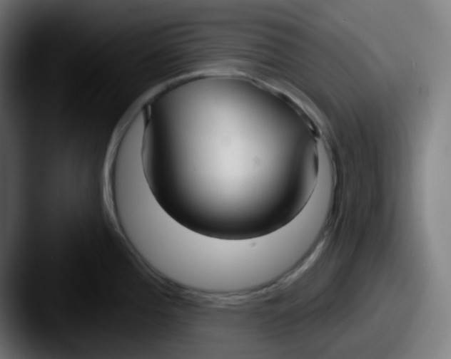 X0000087571196200705181137