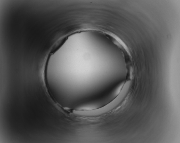 X0000087571197200705181137