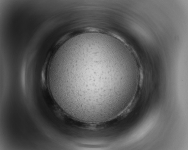 X0000087571198200705181137