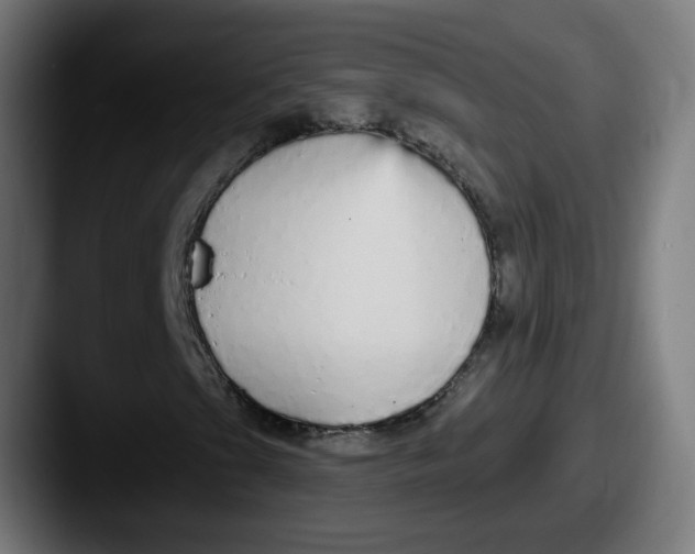 X0000087571201200705181136