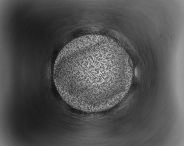 X0000087571203200705181136