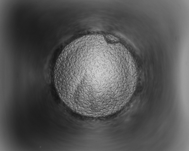 X0000087571207200705181136