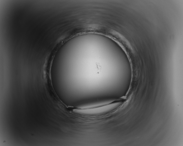 X0000087571210200705181136