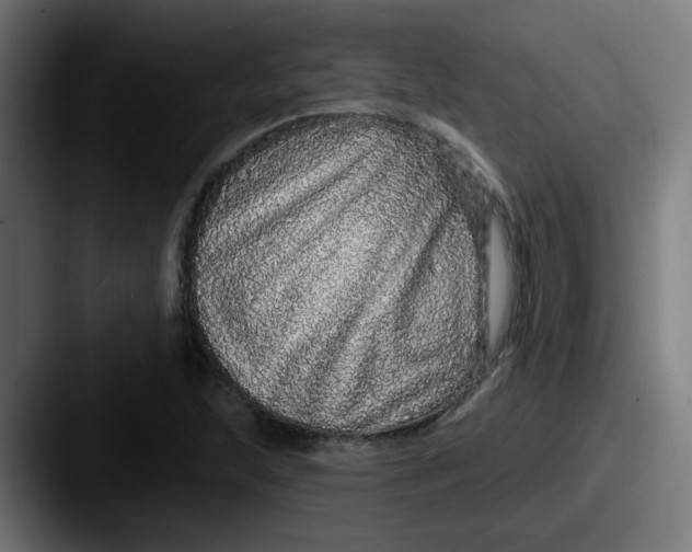 X0000087571215200705181136