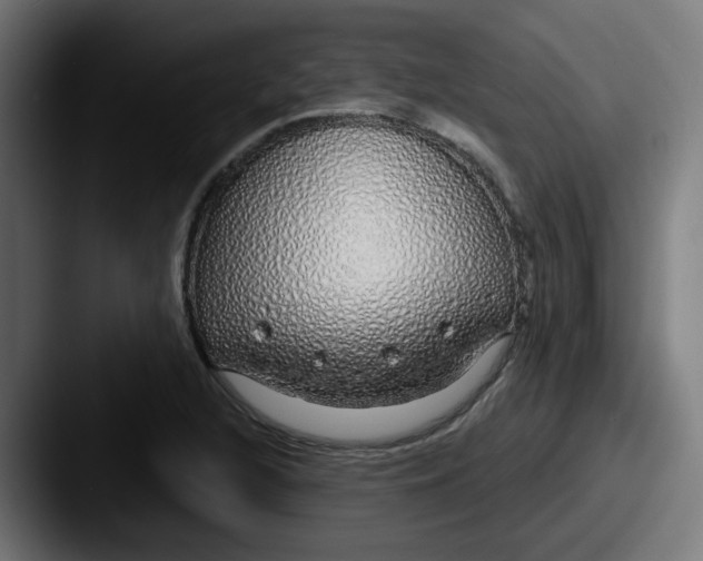 X0000087571216200705181136