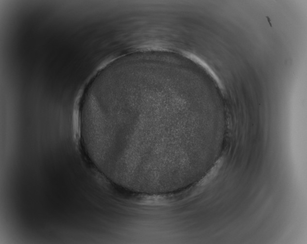 X0000087571219200705181137