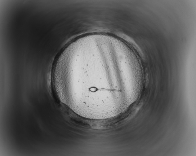 X0000087571220200705181137