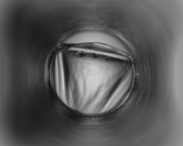 X0000087571221200705181137